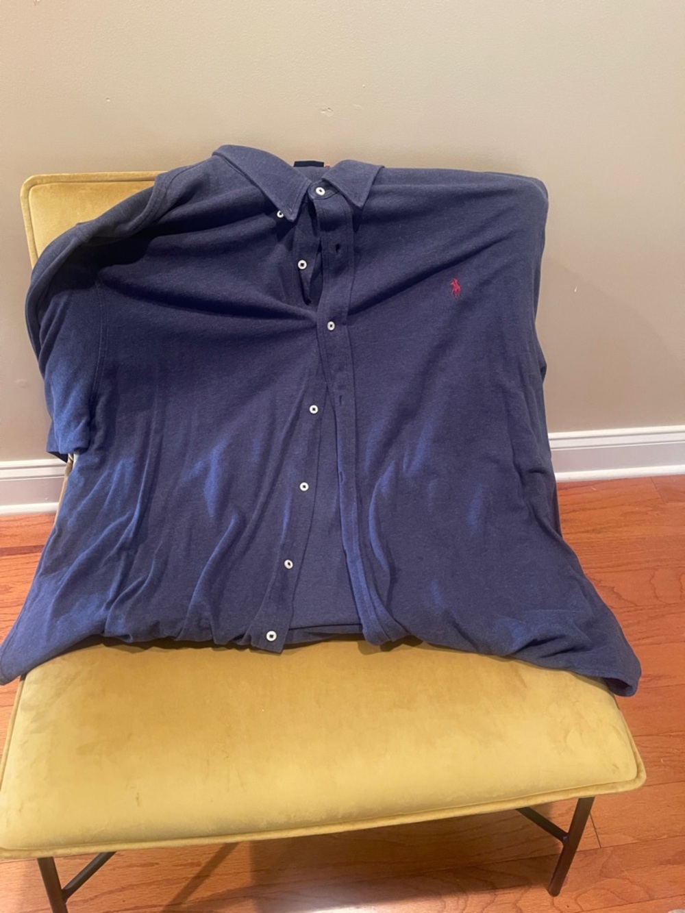 Polo by Ralph Lauren Navy Button-Down with Red Pony Logo